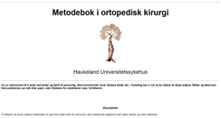 Desktop Screenshot of metodebok-ortopedi.ihelse.net
