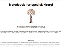 Tablet Screenshot of metodebok-ortopedi.ihelse.net